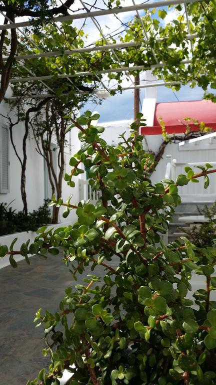 Christina Studios Mykonos Town Exterior foto